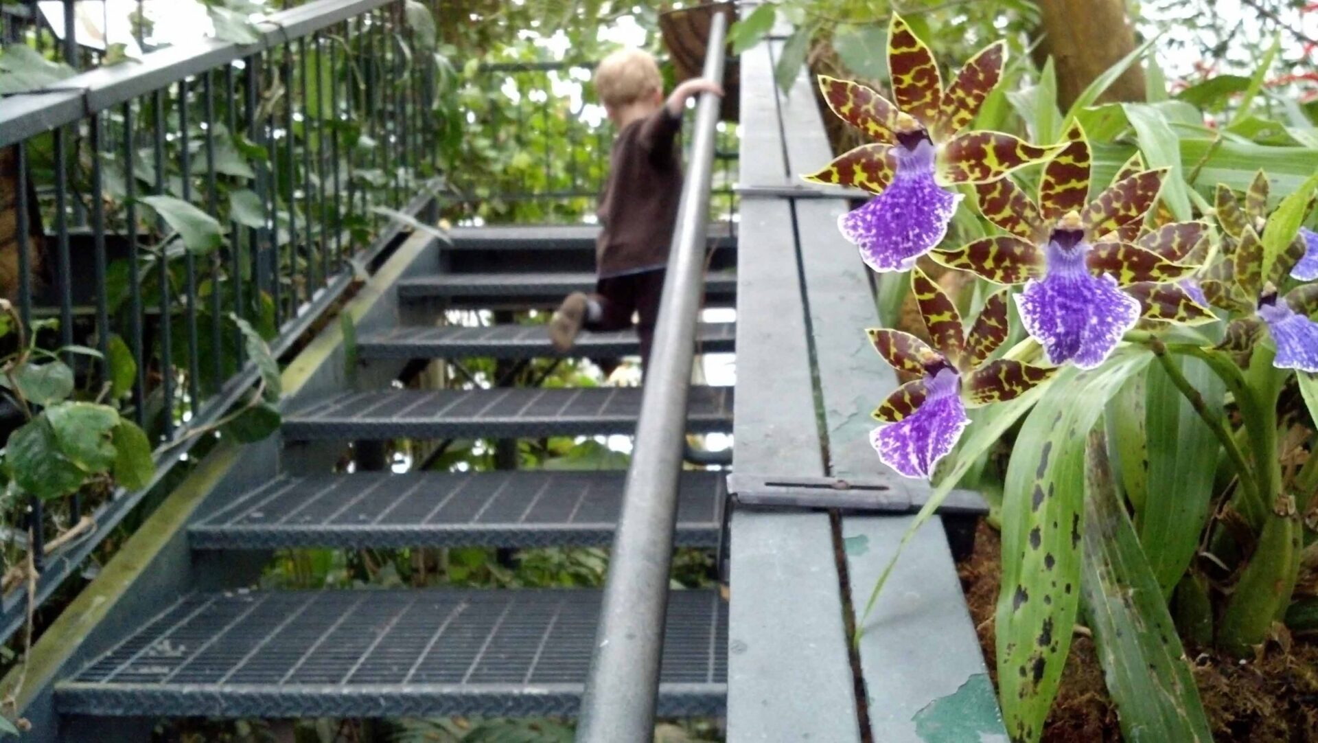 Decorating Your Staircase with a Garden
